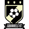 Search banner logo