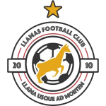 London Football Banner Logo