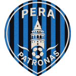 Search banner logo