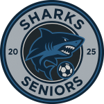London Football Banner Logo