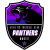 AFC Panthers Logo